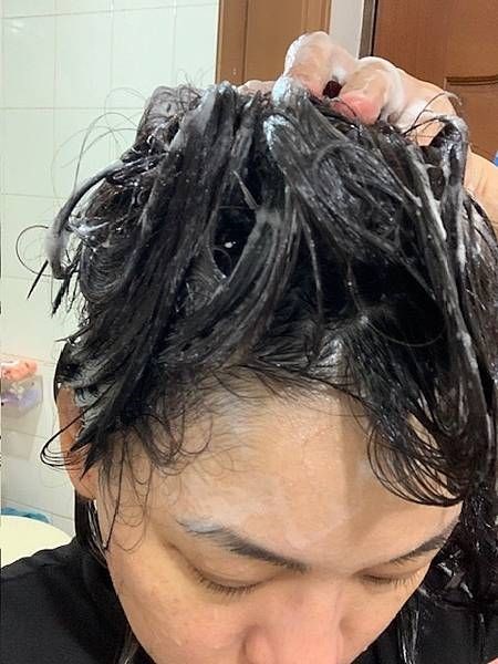試用